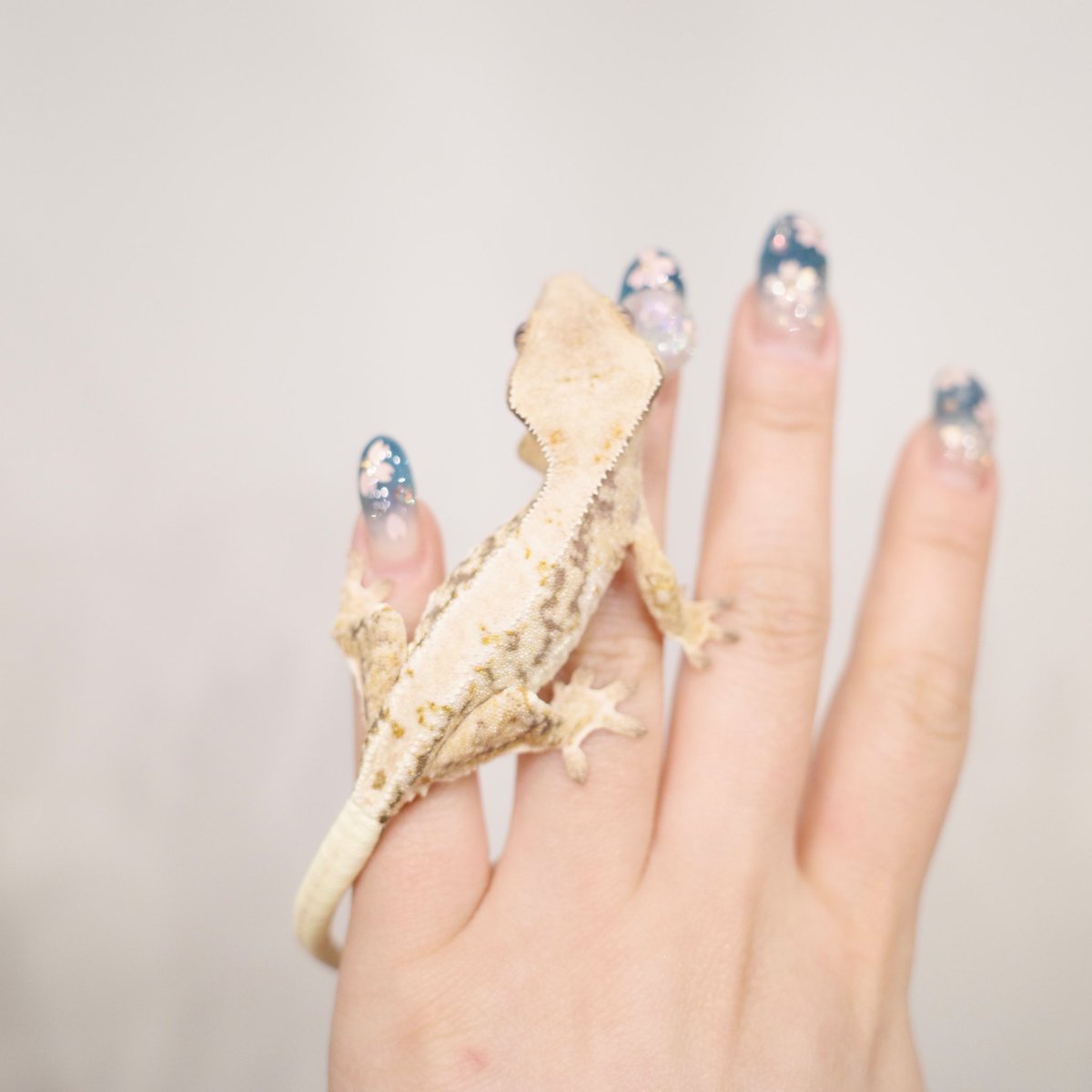 Mir J♥️ tweet media