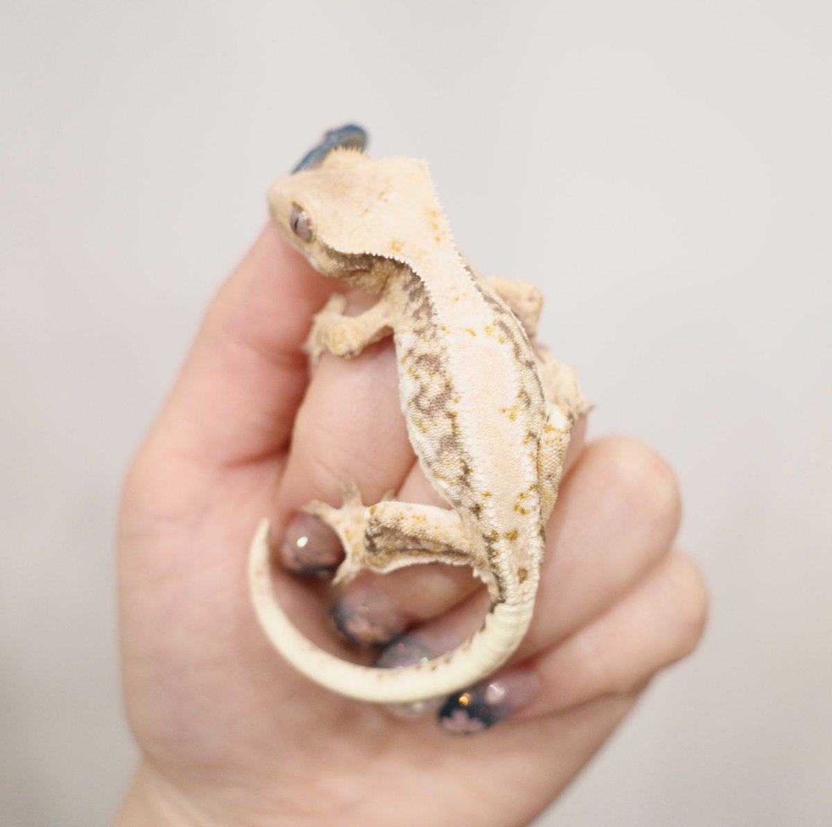 Mir J♥️ tweet media