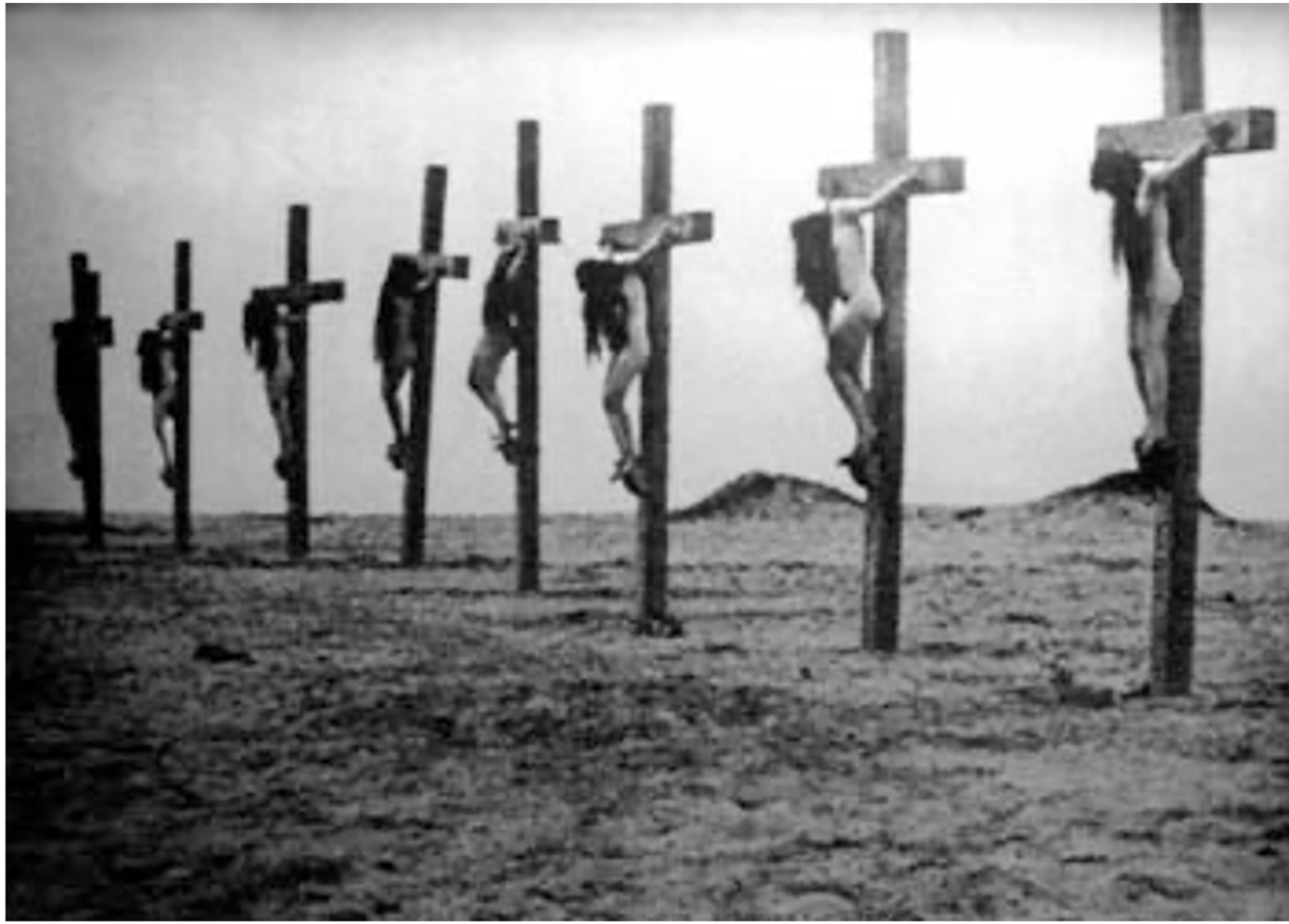 Stephen Coughlin tweet media