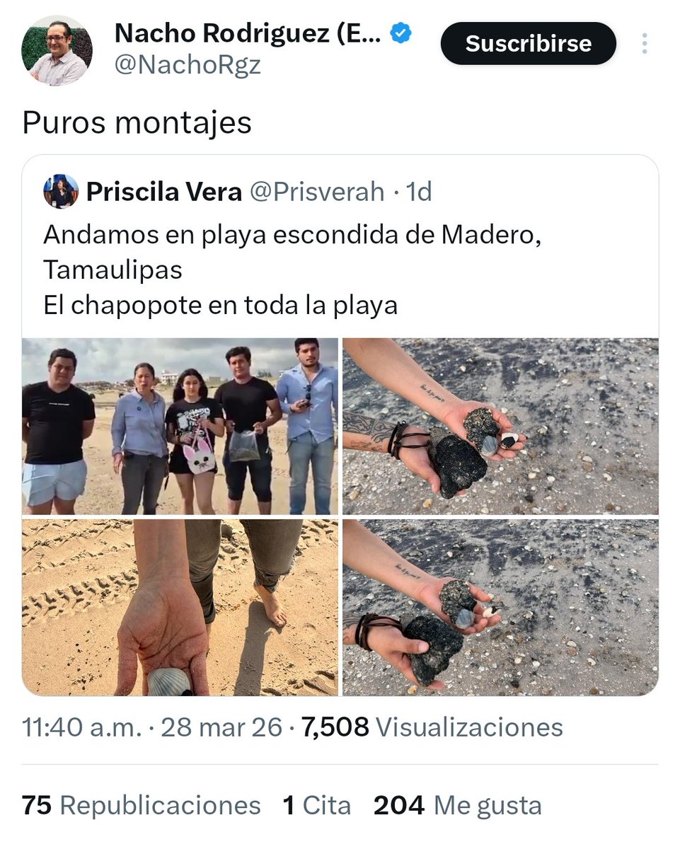 Marco Levario Turcott tweet media