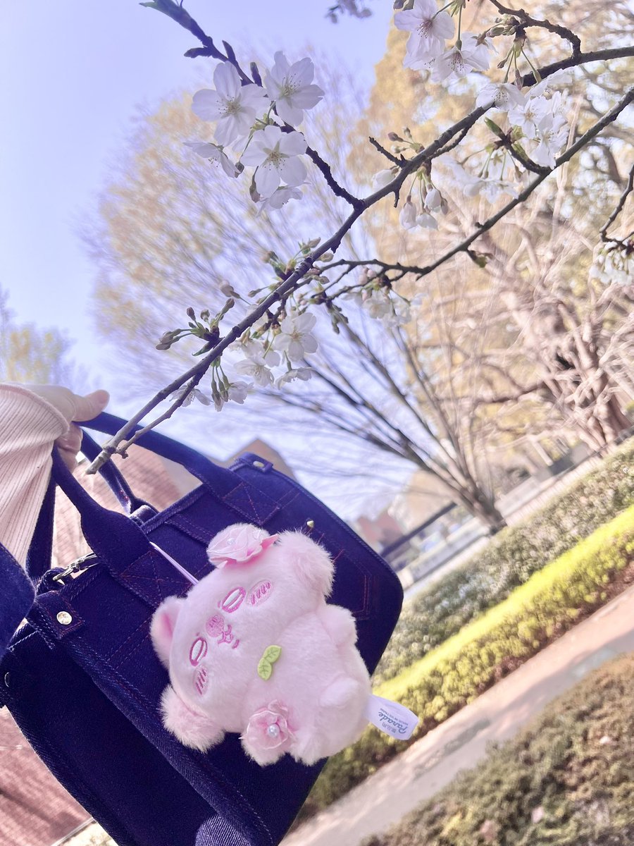 塚田綾佳🩷あやぽん🩷 tweet media