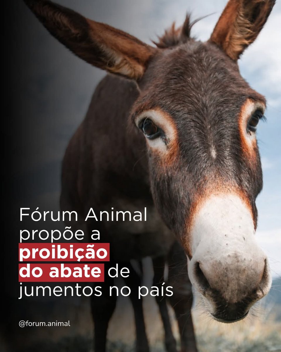 Paulo de Tarso tweet media