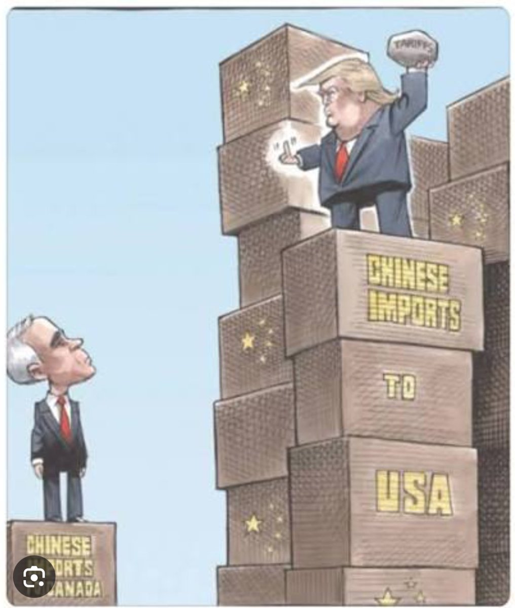 Gator⚡Gum tweet media