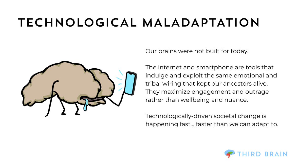 Third Brain tweet media