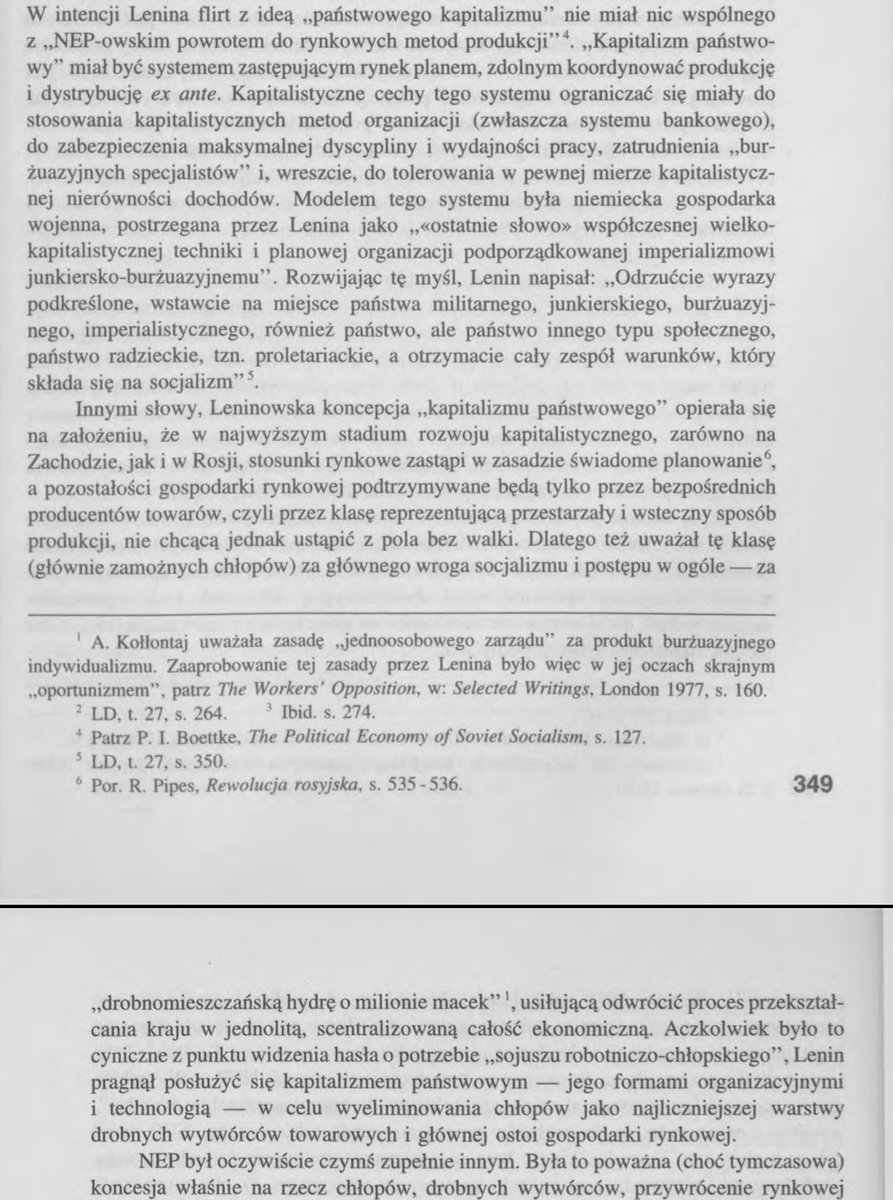 Kacper Steć tweet media