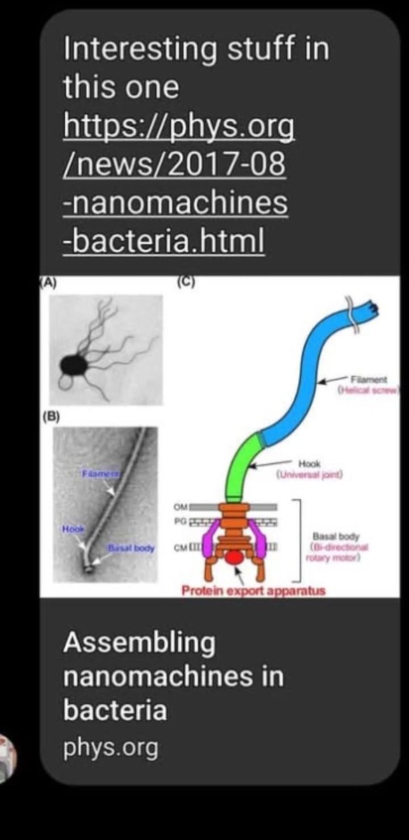 🛑 mocking the PEOPLE tweet media