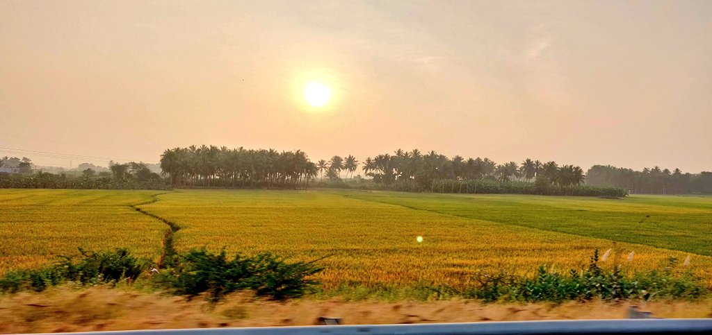 Ananth_IRAS's tweet image. Share a photograph clicked from a Window! #window #Photography