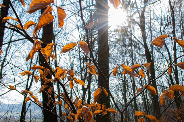 Denzel Allen tweet media