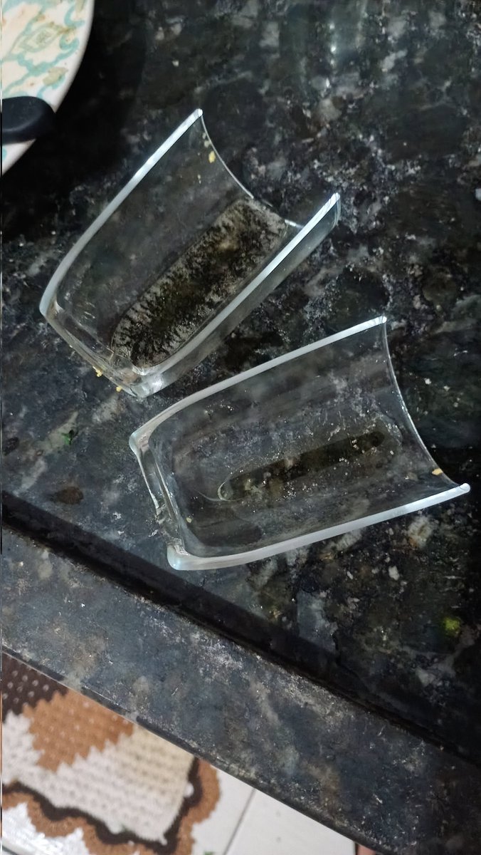 emma 🐀 tweet media