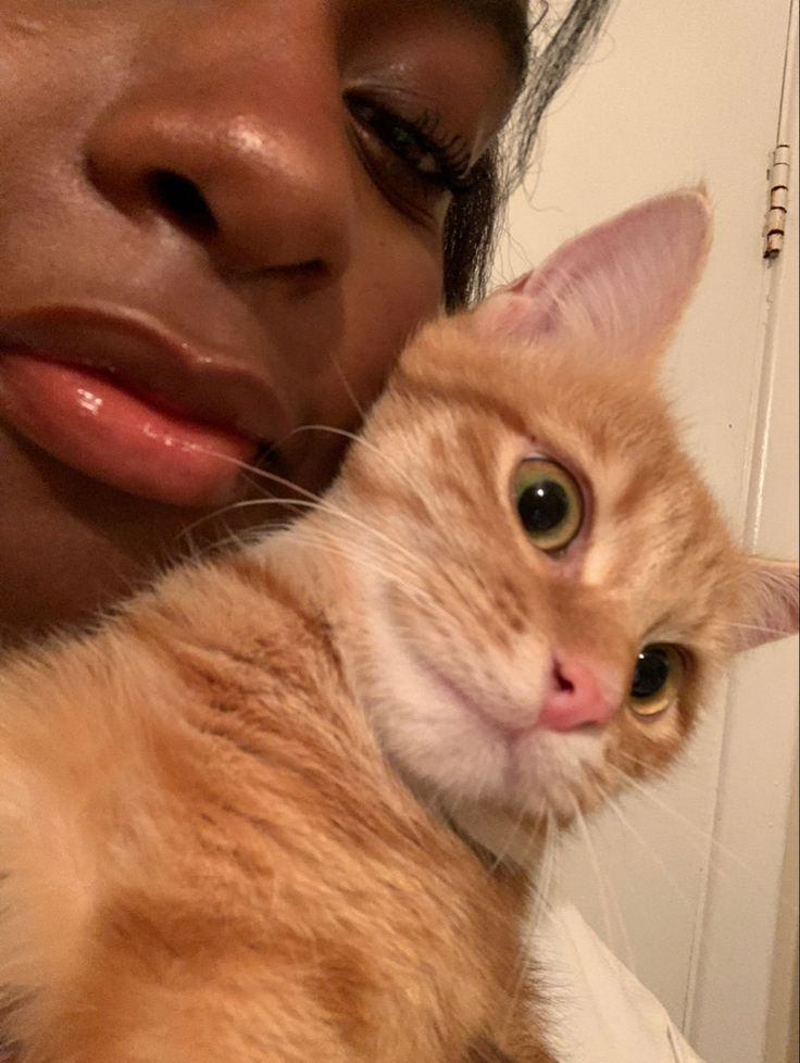 willdos. tweet media