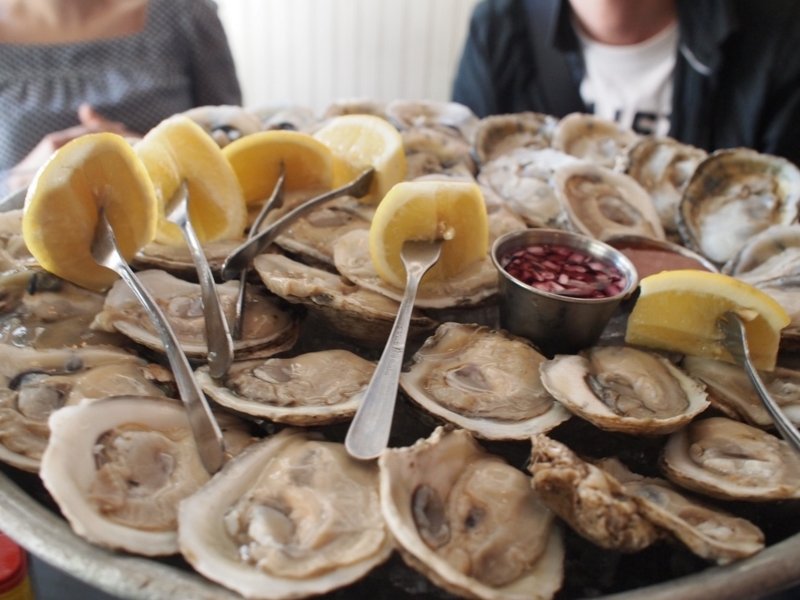 Rootport🔥 tweet media