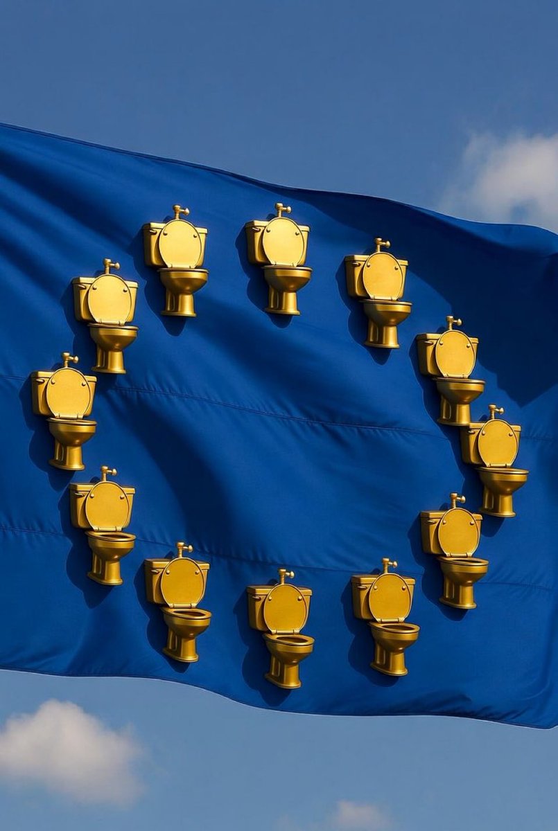 Freddy Zimmer tweet media