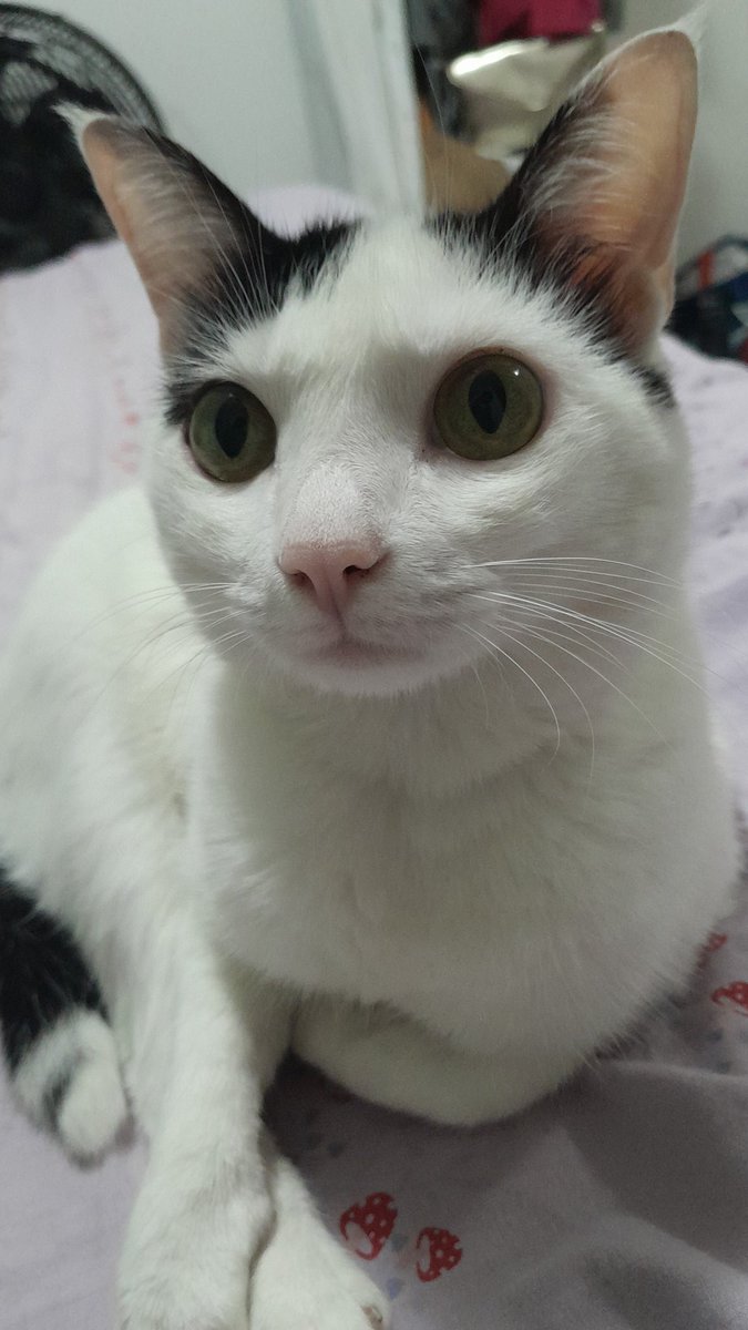 the police da silva tweet media