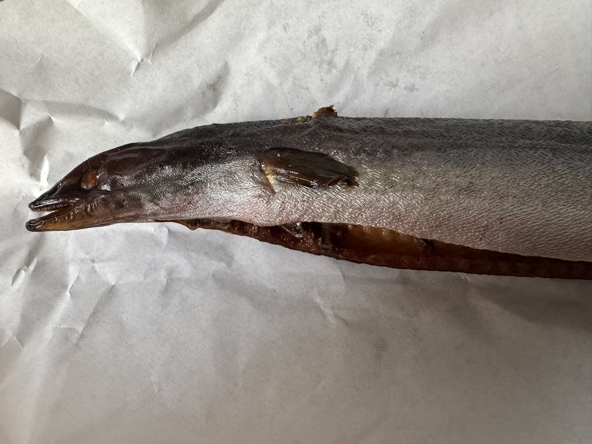 eugyppius tweet media