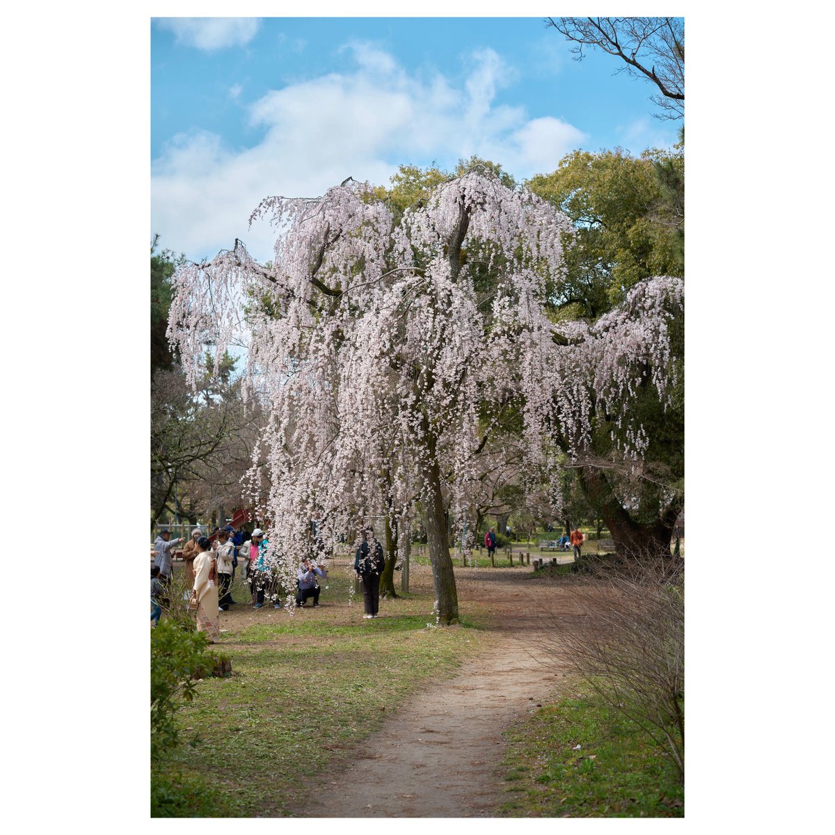 PhotophotoK's tweet photo. #7cii #loxia50mm #photography https://t.co/CnVOBoSS7S