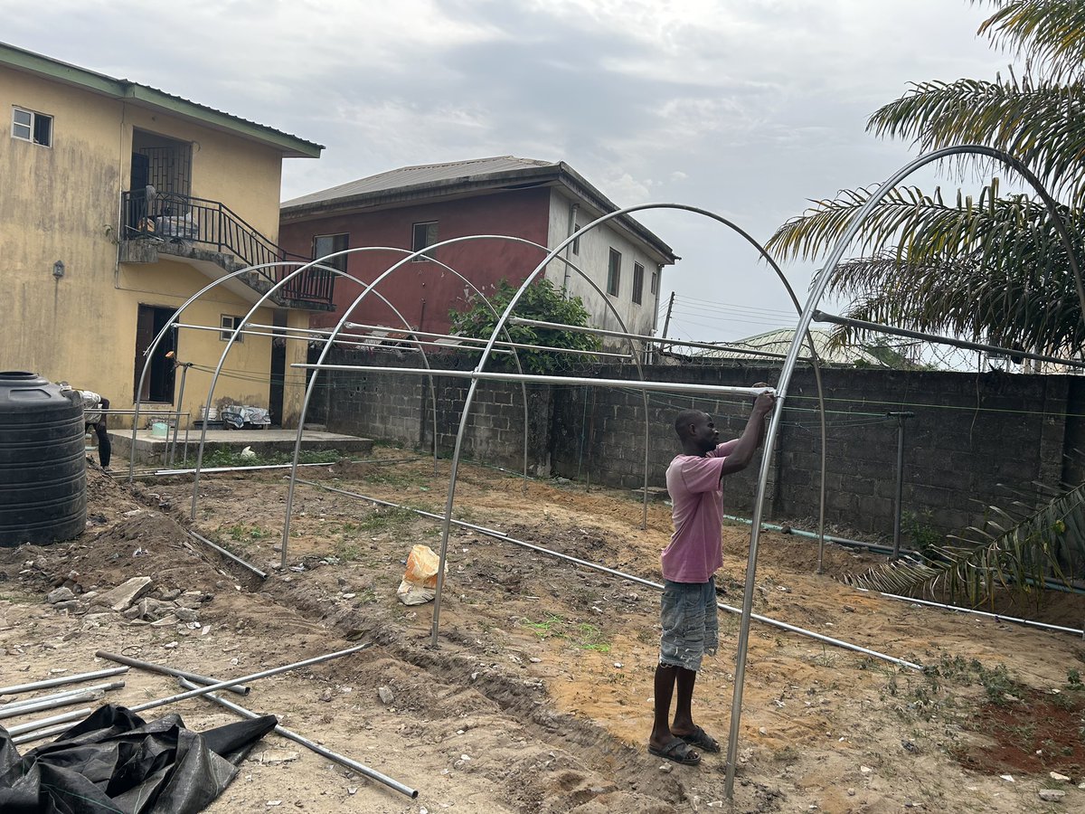 De Emperor tweet media