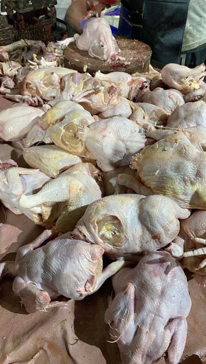 SAXENA 🥀 tweet media