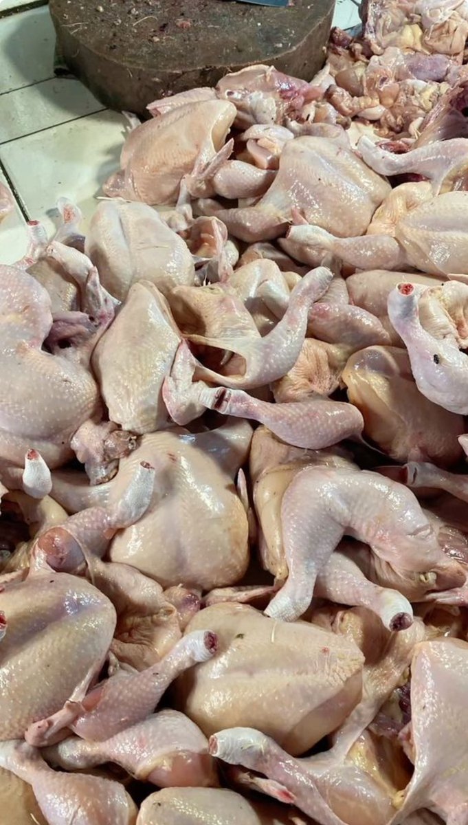 SAXENA 🥀 tweet media