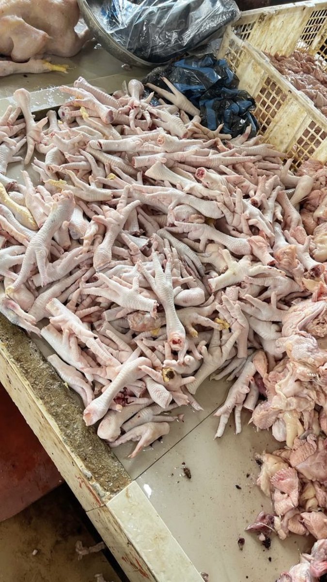 SAXENA 🥀 tweet media