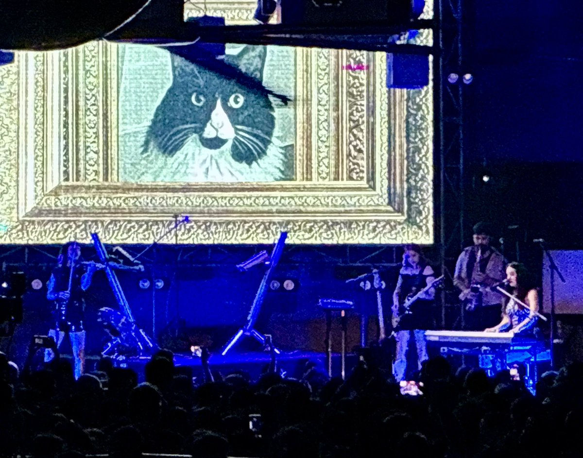 Lolo M.M. tweet media