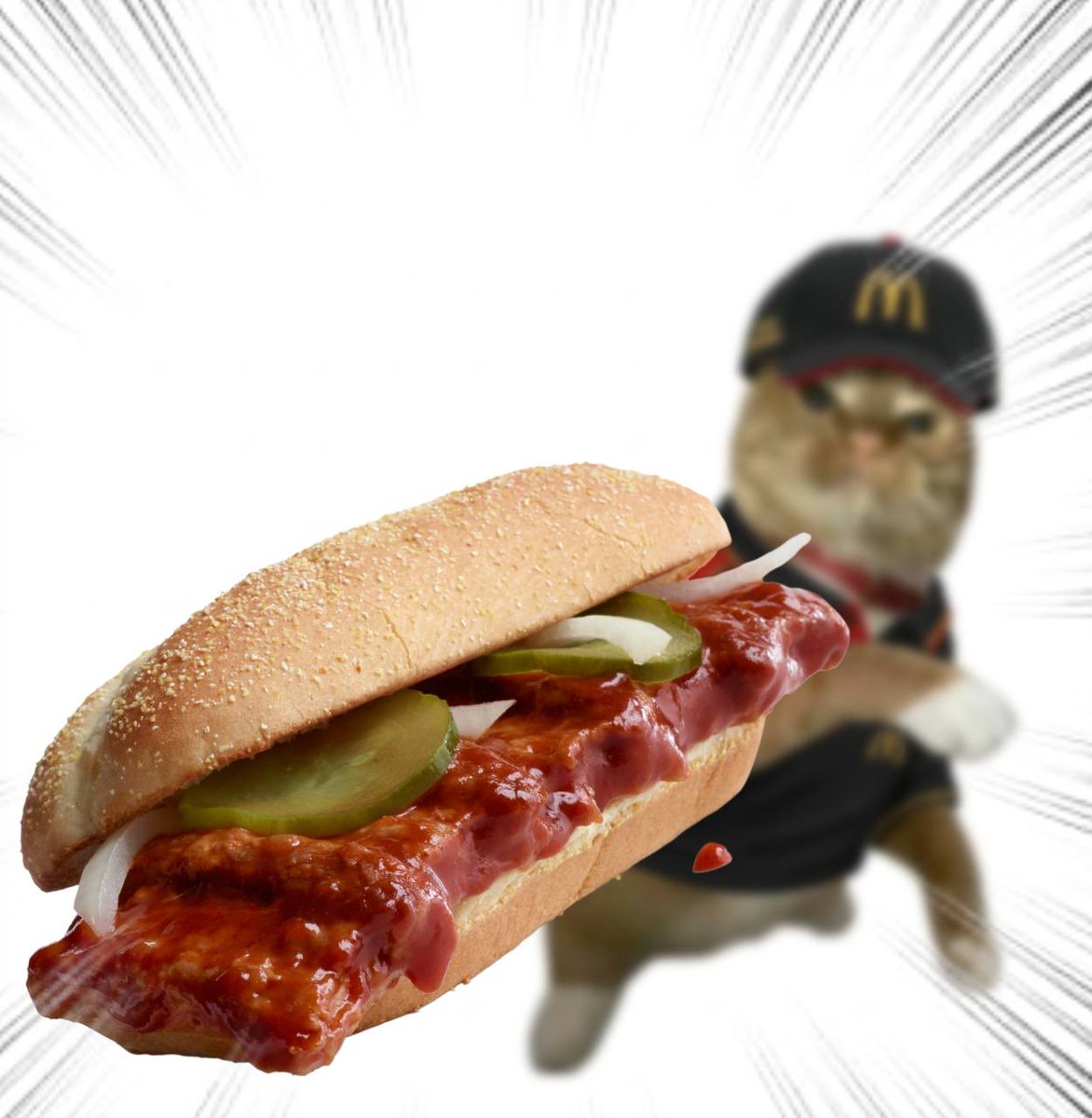 Throwing Things Daily tweet media