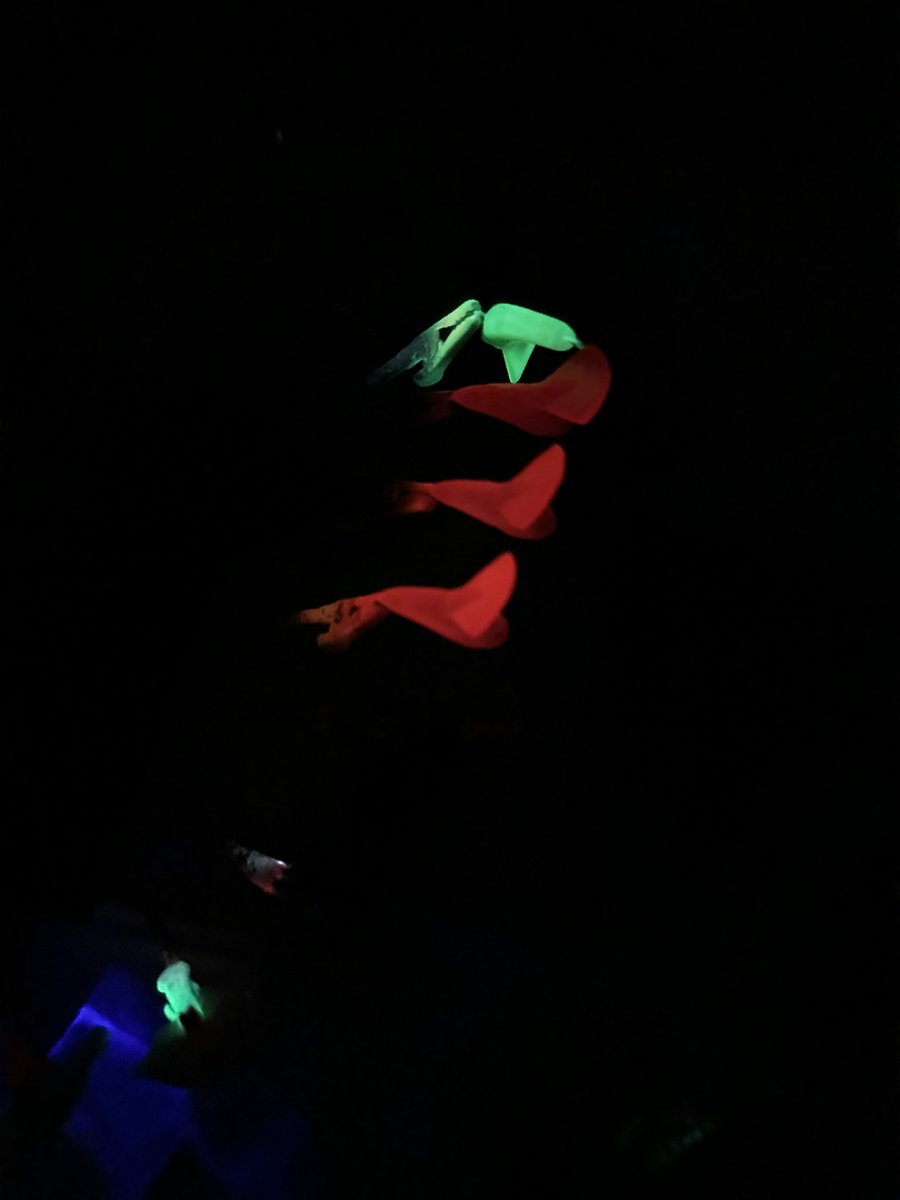 JC Lures tweet media