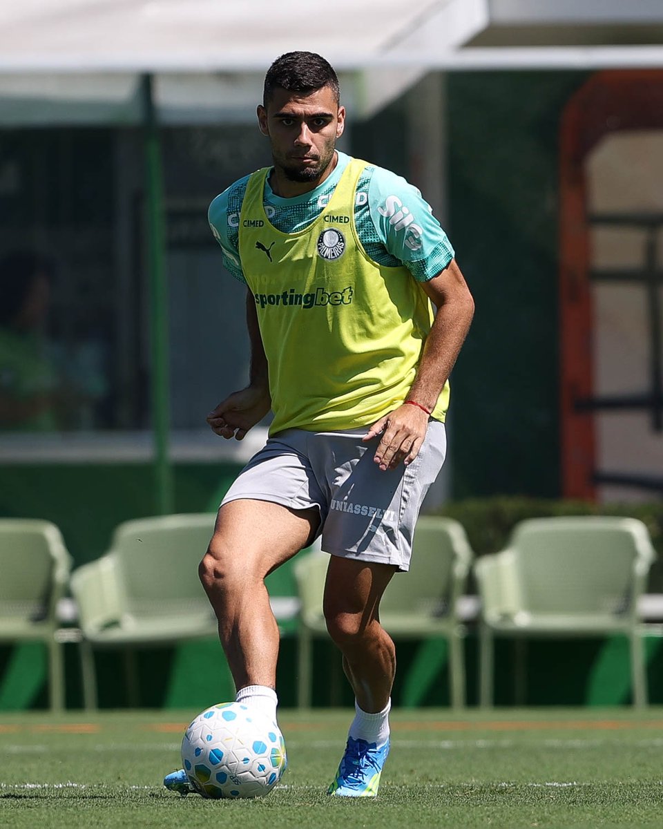 SE Palmeiras tweet media