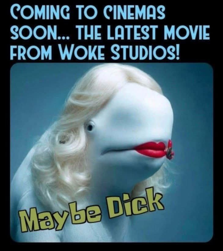 Bumbal bee tweet media