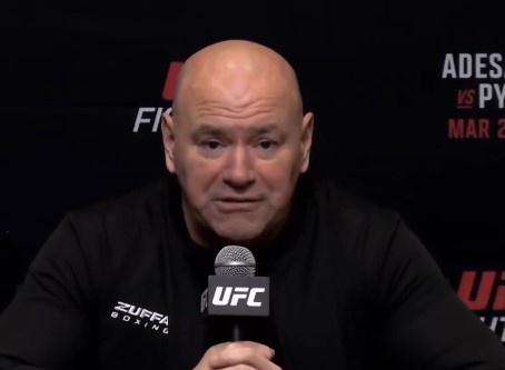 betaplux tweet media