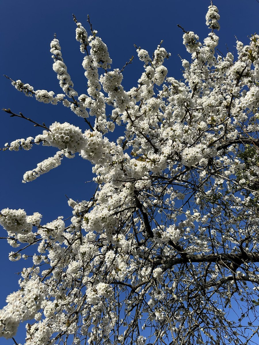 Mister moustache 👨🏻 tweet media