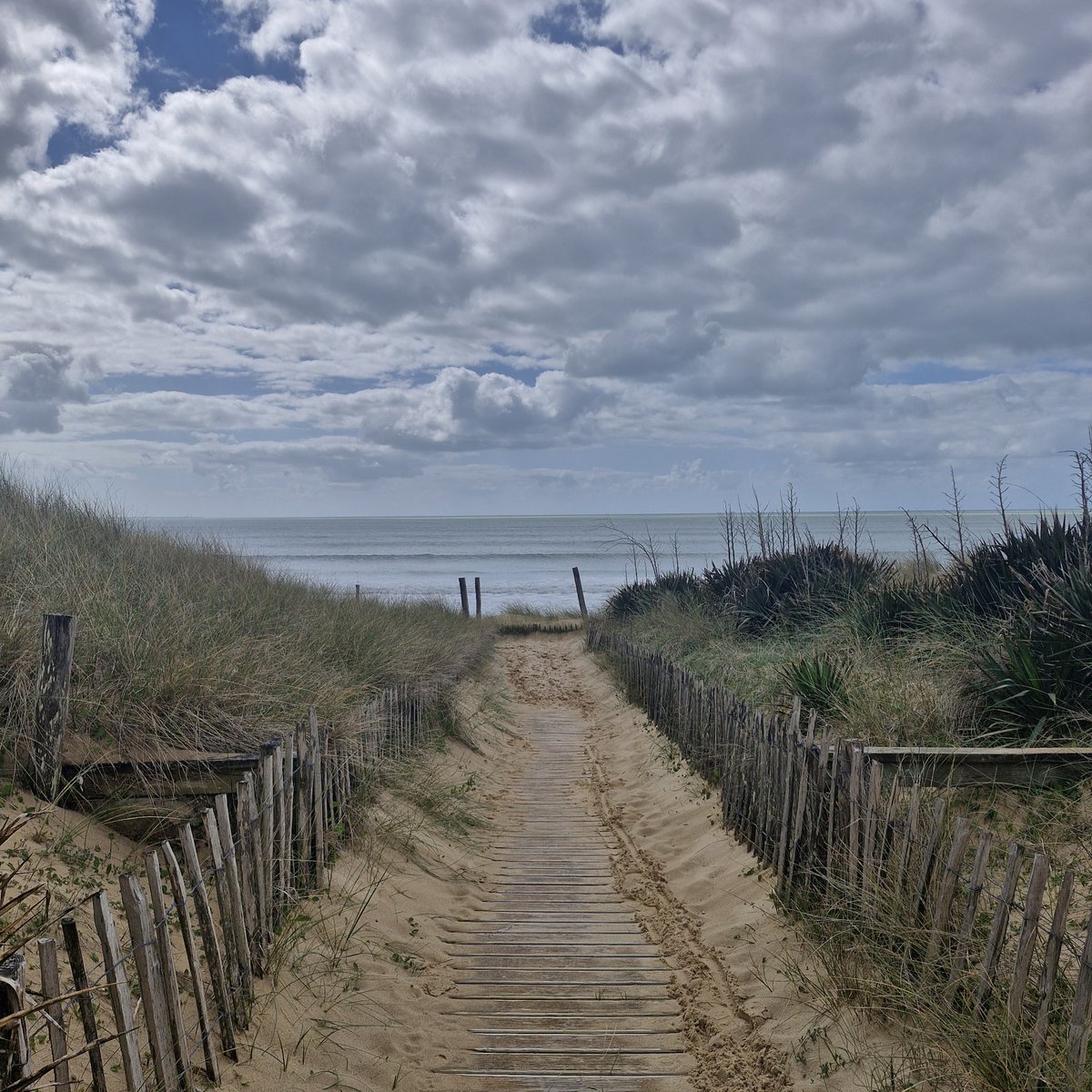 Quentin Dsb tweet media