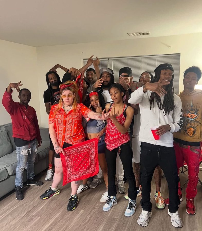 Horseshoe tweet media