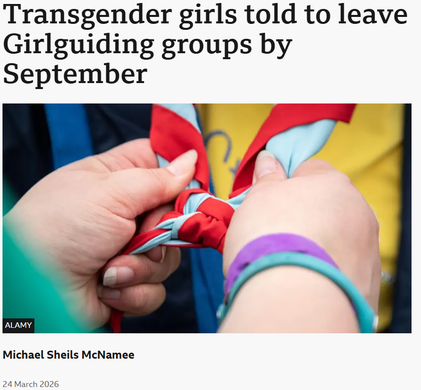 Pandemos tweet media