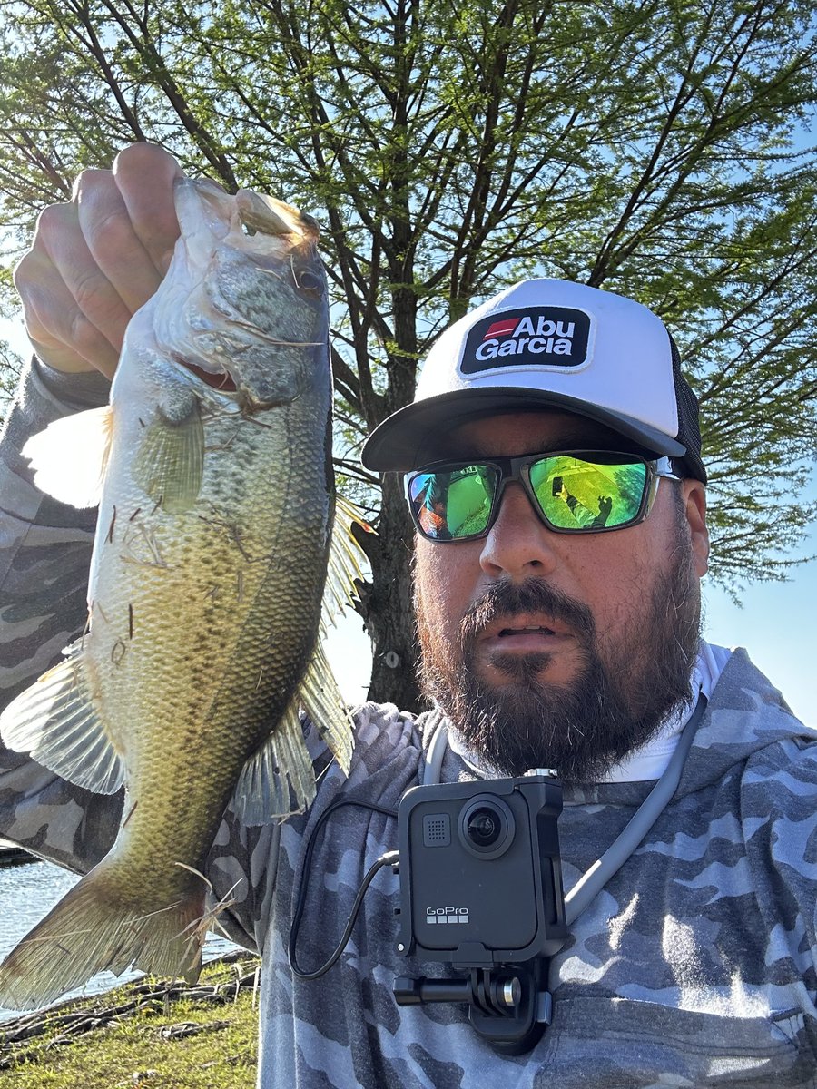 Albert Rodriguez tweet media