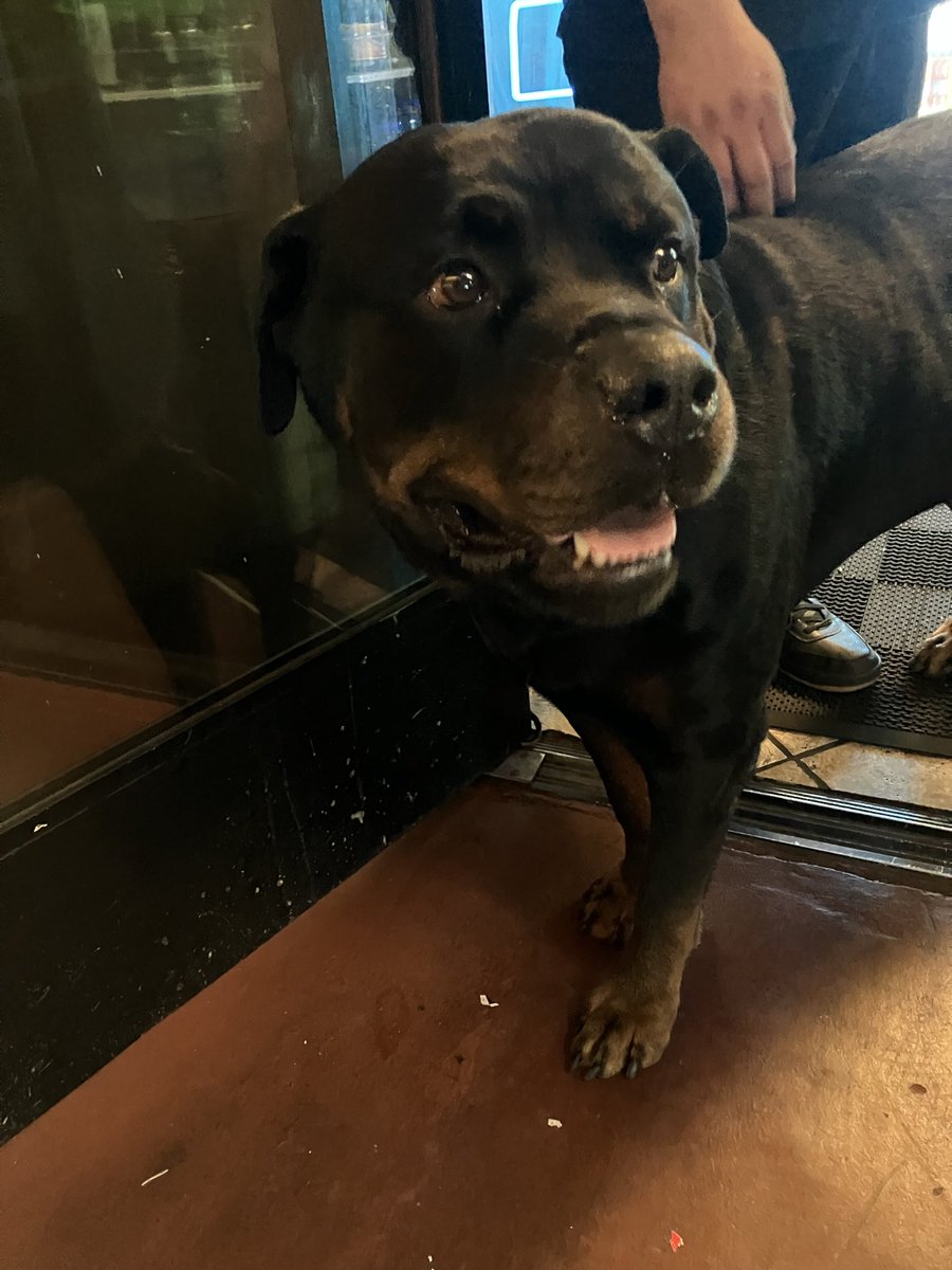 eric payne tweet media