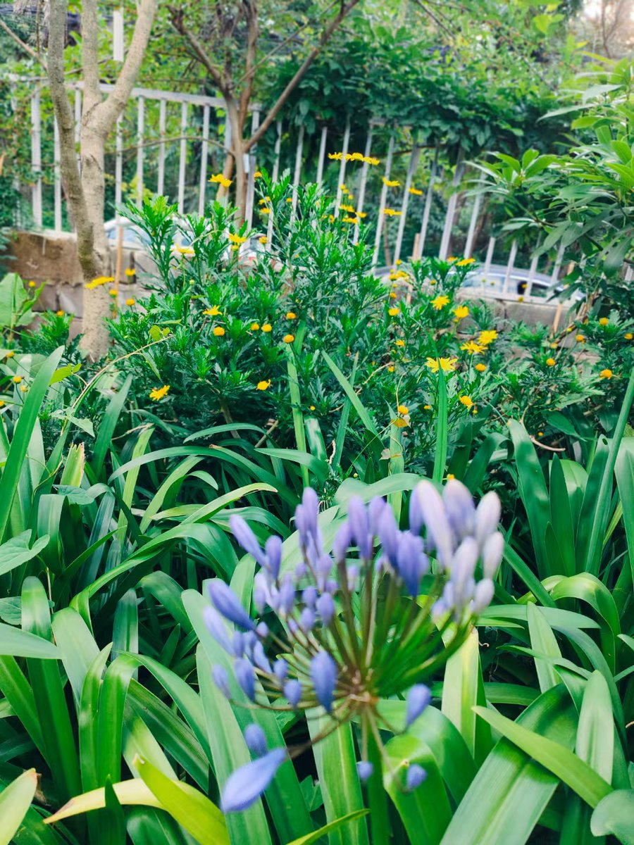 robert brett tweet media