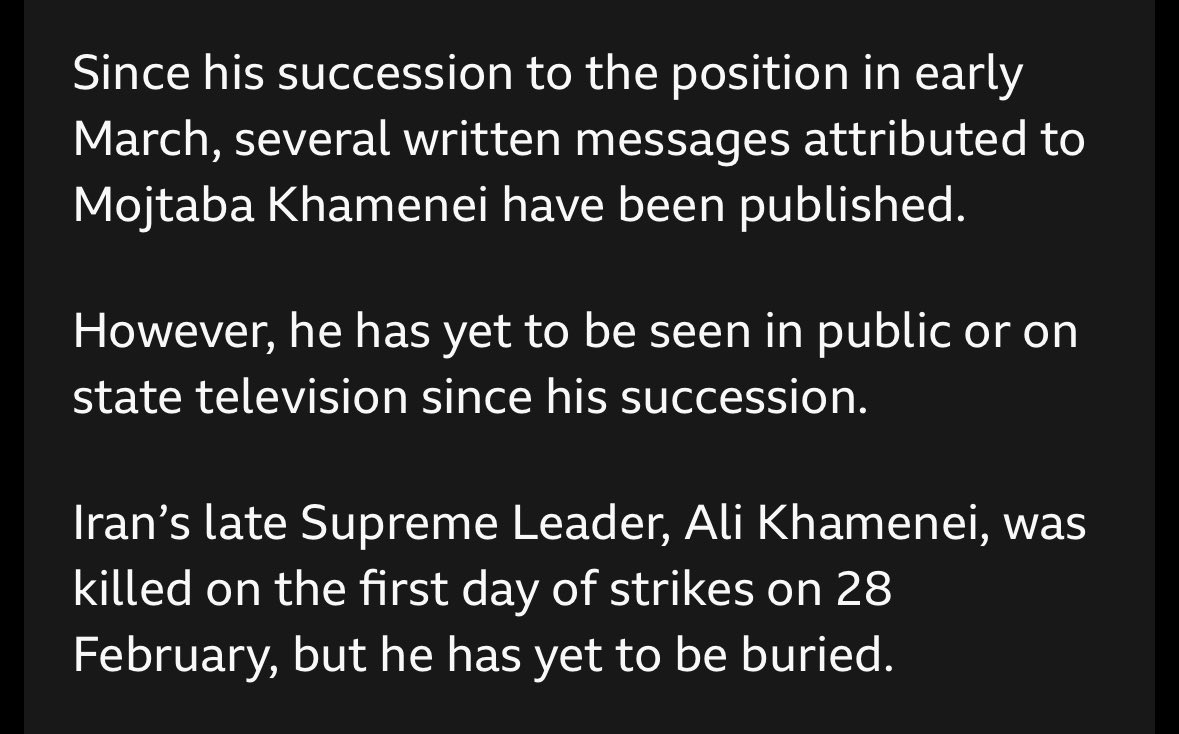 Ghoncheh Habibiazad | غنچه tweet media