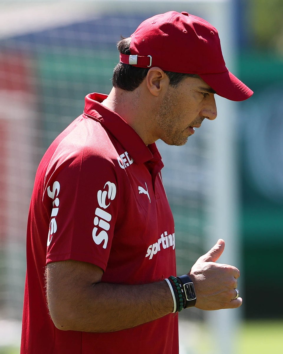 SE Palmeiras tweet media