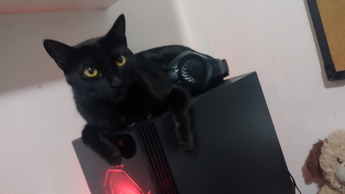 ♋︎ Ᏼꭺꭲꭼꭱꭺ ☕︎ tweet media