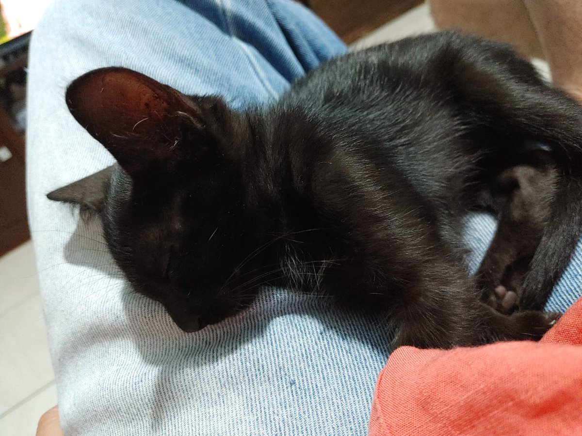 ♋︎ Ᏼꭺꭲꭼꭱꭺ ☕︎ tweet media