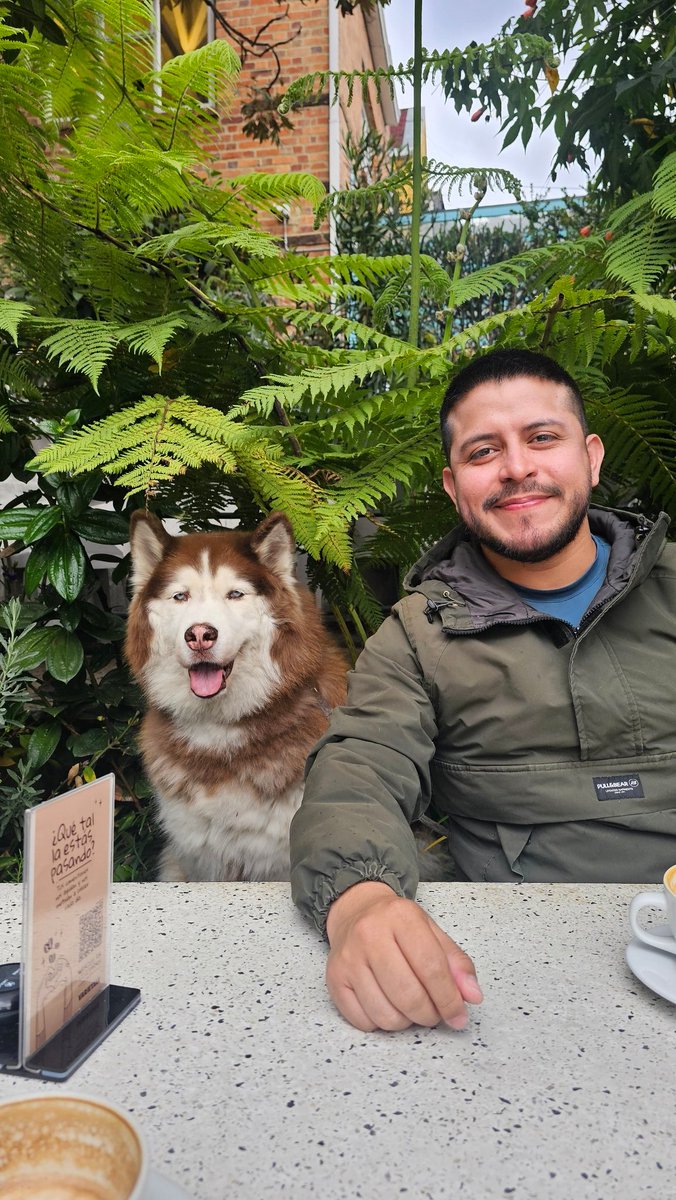 Plaza 🛫 tweet media