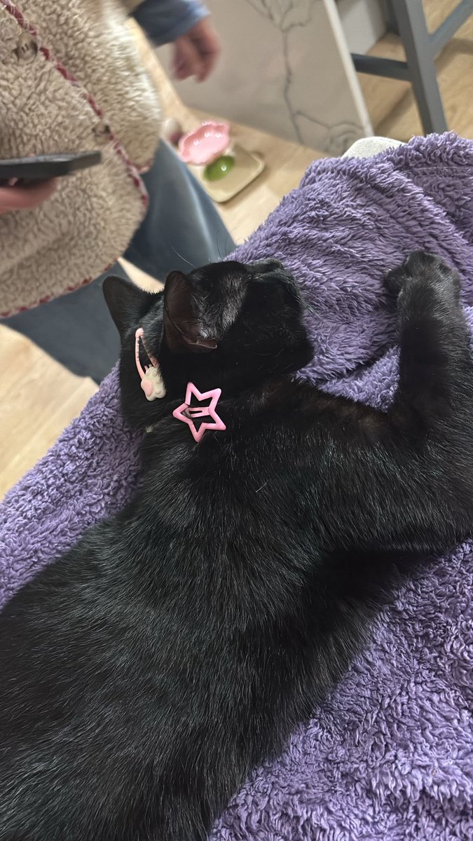 ˚. !! 𝓐𝘮𝘦𝘭𝘪𝘵𝘢 𝜗𝜚 . 🐁 tweet media