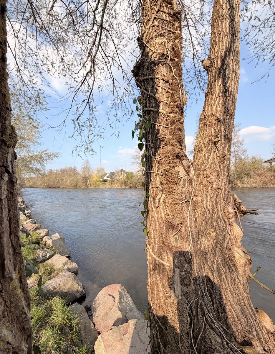 Sanaa Moubtassim tweet media