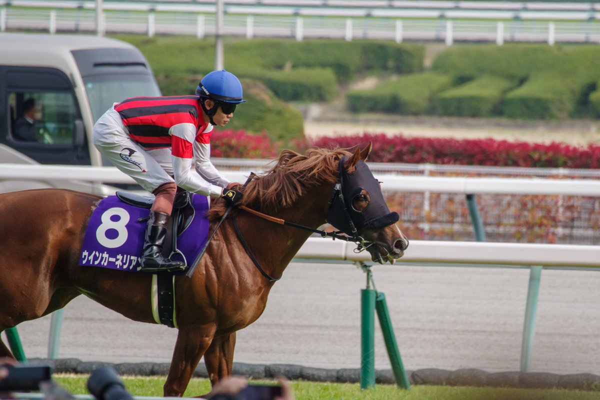 ユーキ tweet media