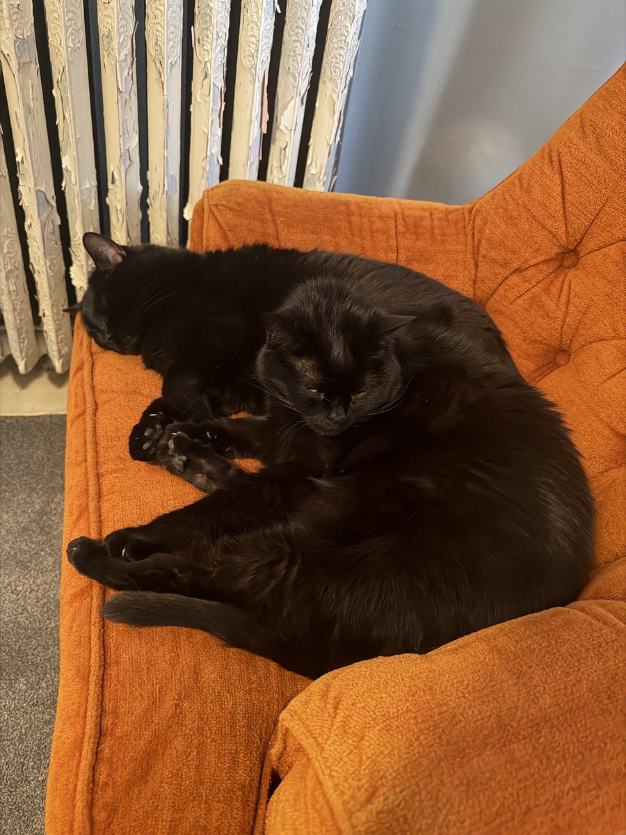 Mr. Vibes tweet media