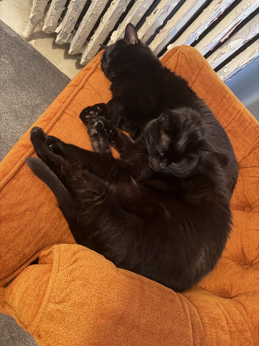 Mr. Vibes tweet media