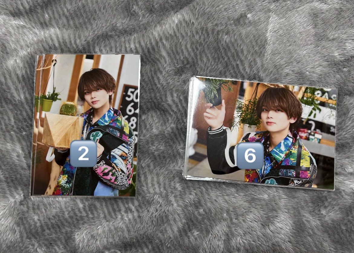 🦭⭐️ tweet media