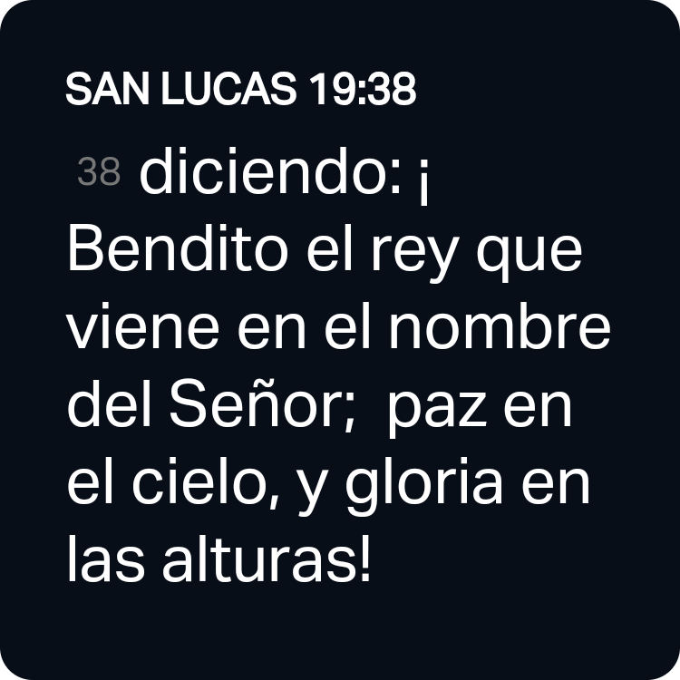 SAN LUCAS 19:38 RVR1960
[38] diciendo: ¡Bendito el rey que viene en el nombre del Señor; paz en el cielo, y gloria en las alturas! 

Ojo 👁 al Cristo.