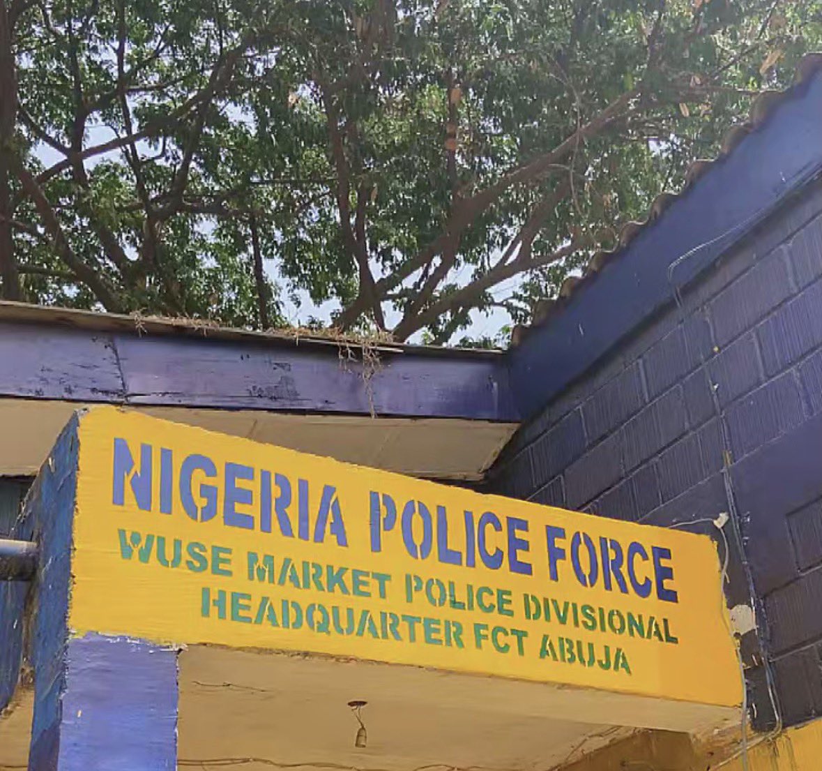 ⭕x DÂRRΞLLL 🗽 tweet media