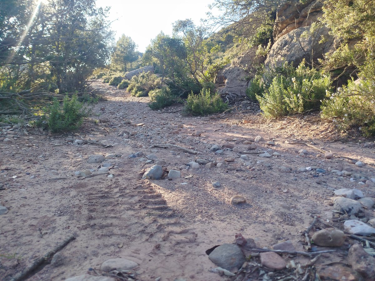 Bones màquines per camins estrets prohibits a la circulació motoritzada. Noves pràctiques de cap de setmana al Mimó.
